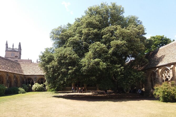 New College Oxford Harry Potter Insights PRIVATE TOUR Daily - What the private format adds