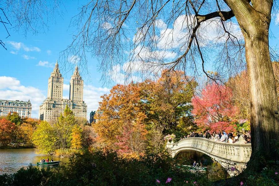 NYC: Central Park Elf & Home Alone Film Spots Pedicab Tour - Gapstow Bridge and the Pond