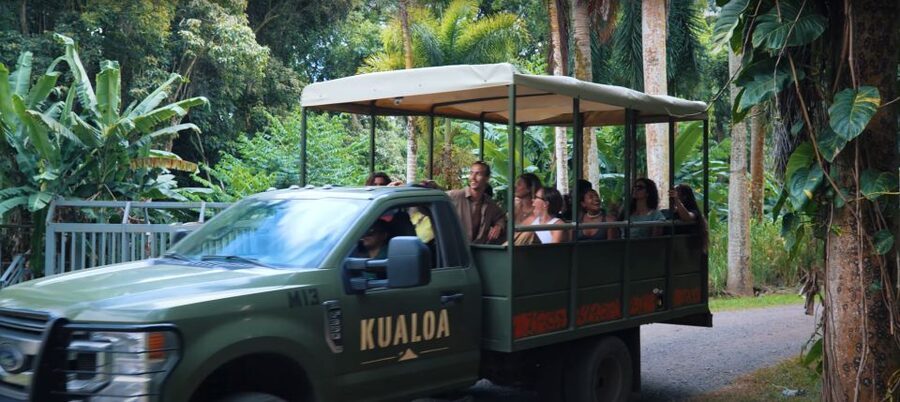Oahu: Kualoa Jurassic Movie Set Adventure Tour - Who will enjoy this tour most