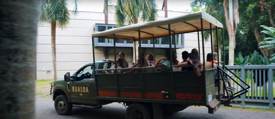 Oahu: Kualoa Jurassic Movie Set Adventure Tour - What to bring and how to plan