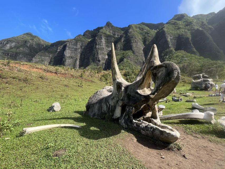 Oahu: Kualoa Movie Sites, Jungle, and Buffet Tour Package - Key points to know before booking