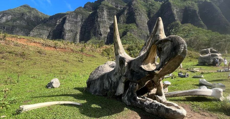 Oahu: Kualoa Movie Sites, Jungle, and Buffet Tour Package - Kaʻaʻawa Valley and the Hollywood Movie Sites Tour