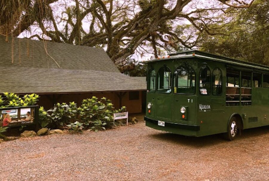 Oahu: Kualoa Movie Sites, Jungle, and Buffet Tour Package - Into Hakipuʻu rainforest on the Jungle Expedition
