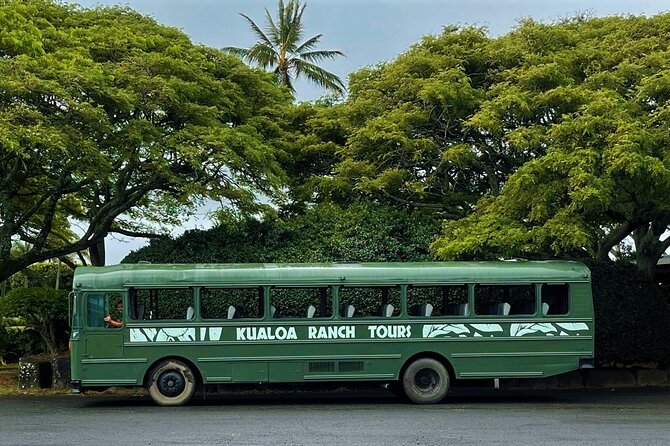 Oahu: Kualoa Ranch Movie Sites and Ranch Tour - Jurassic Park footprints and Hollywood locations