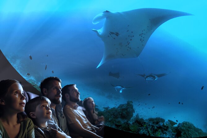 Ocean Wonders: An Immersive Ocean Movie Experience - Key points before you book