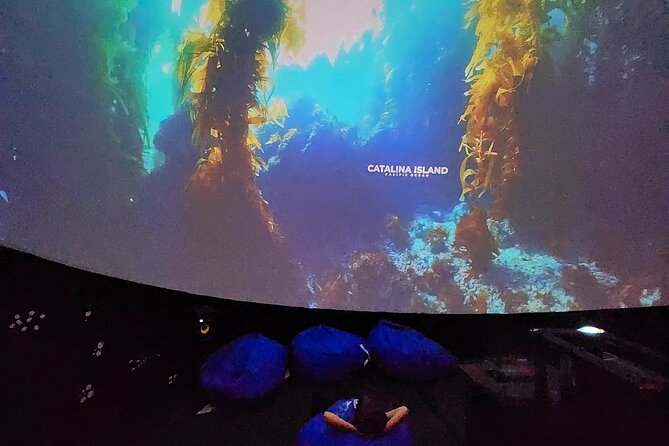 Ocean Wonders: An Immersive Ocean Movie Experience - What Ocean Wonders actually is