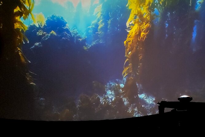 Ocean Wonders: An Immersive Ocean Movie Experience - Is the roughly $30 price fair?