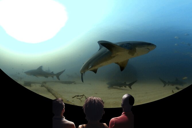 Ocean Wonders: An Immersive Ocean Movie Experience - Inside the 30-minute program