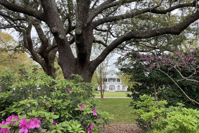 Outer Banks Film Locations Tour - What the behind-the-scenes stories add