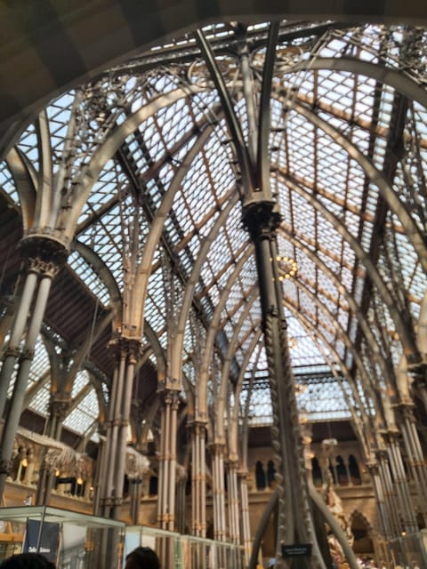 Oxford: Harry Potter Tour - Who will enjoy this Oxford tour most