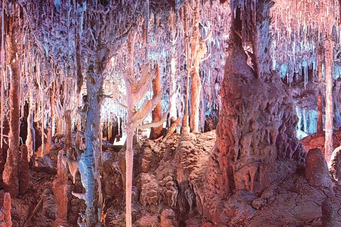 Palma de Mallorca Half-Day to Caves of Hams, Blue Cave and film - Who will enjoy this morning tour?