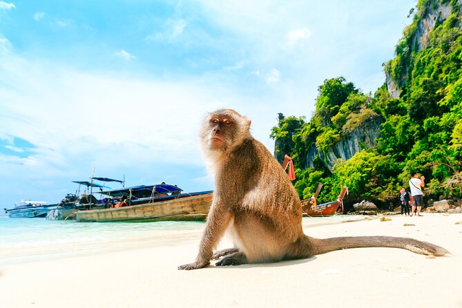 Phi Phi, James Bond & Krabi Overnight - Exclusive 2D1N - Phi Phi Don after dark