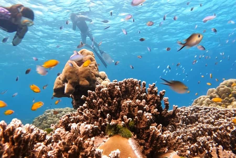 Phuket: 2 Days Itinerary Similan & James Bond Islands Tour - Yao Yai’s beach club is the soft landing