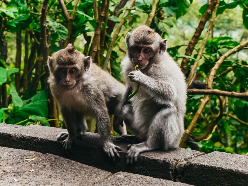 Phuket: James Bond Island Longtail Boat and Sea Canoe Tour - James Bond Island and Khao Phing Kan