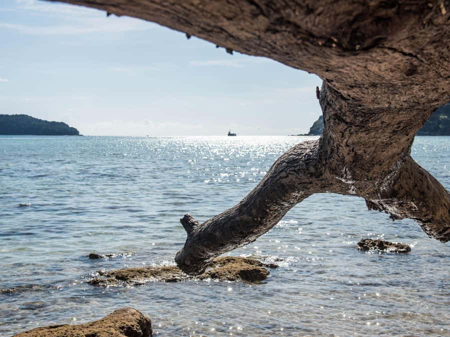 Phuket: James Bond Island Sea Canoe by Speedboat - Lunch and local life at Koh Panyee
