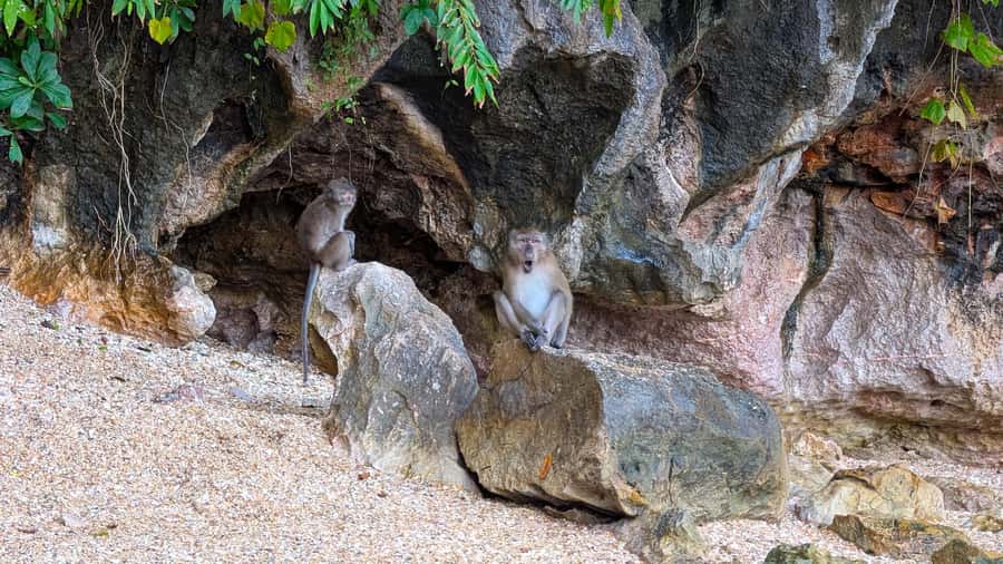 Phuket: James Bond & Panyi Day Tour with Canoeing & Lunch - Is $96 a good value?