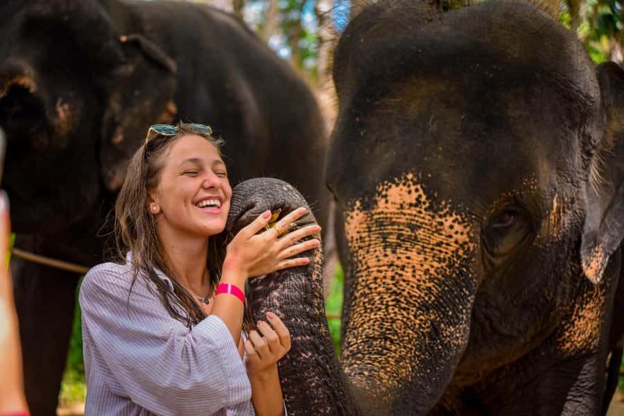 Phuket: Lily Elephant Half day Trip on the Beach with lunch - Quick points to know