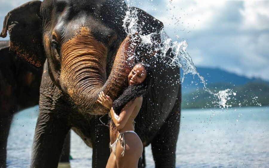 Phuket: Lily Elephant Half day Trip on the Beach with lunch - Practical advice before you go