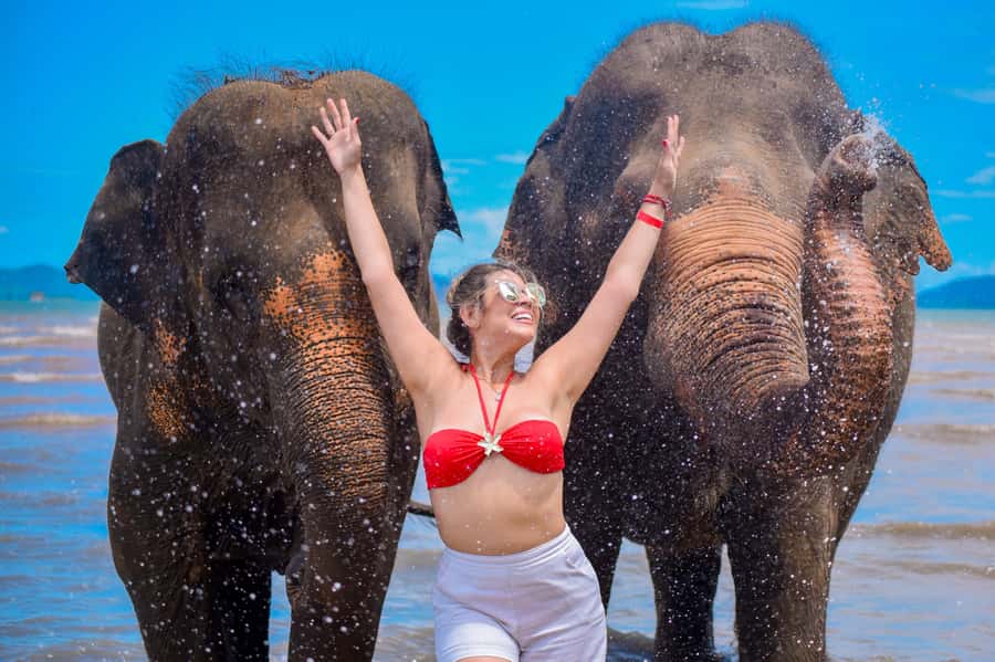 Phuket: Lily Elephant Half day Trip on the Beach with lunch - Walking from the camp to a private beach