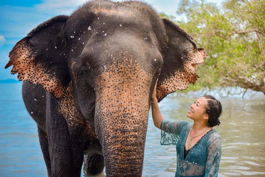 Phuket: Lily Elephant Half day Trip on the Beach with lunch - Preparing meals before meeting the elephants