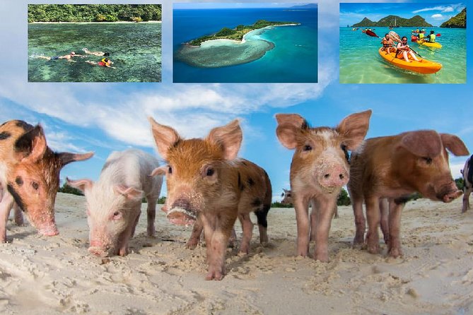 Pig Island Experience By Speed Boat, Snorkeling, Kayaking Relaxing on the Beach - Key points before you book