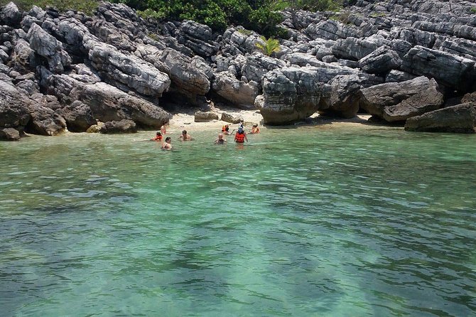 Pig Island Experience By Speed Boat, Snorkeling, Kayaking Relaxing on the Beach - Pig Island is more petting zoo than wild-island escape