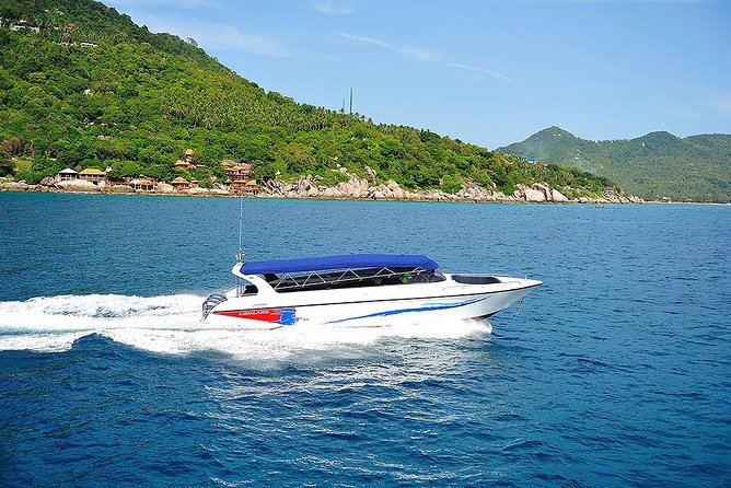 Pig Island Experience By Speed Boat, Snorkeling, Kayaking Relaxing on the Beach - Lunch on the beach, with a few caveats