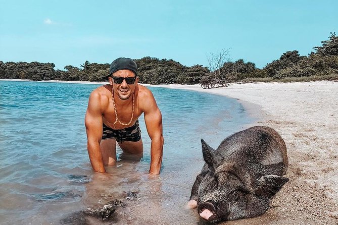 Pig Island Experience By Speed Boat, Snorkeling, Kayaking Relaxing on the Beach - The morning pickup and speedboat departure