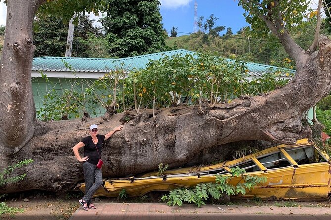 Pirates of the Caribbean Fun Tour - Why this Dominica tour works as a full-day sampler