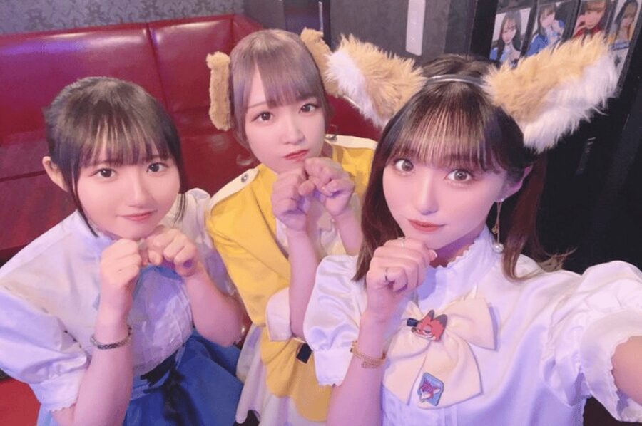 Private Akihabara Anime Game Maid Cafe Tour w/ free pickup - Key points at a glance