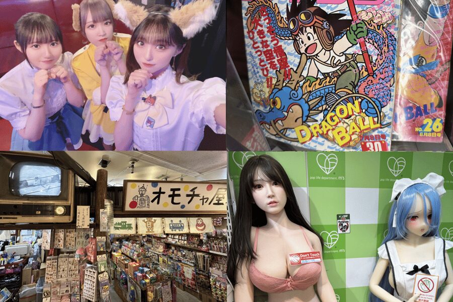 Private Akihabara Anime Game Maid Cafe Tour w/ free pickup - The ride from Tokyo to Akihabara