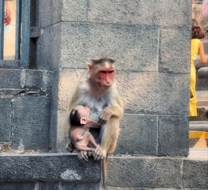 Private Bollywood Studio Tour with Elephanta Caves tour - Is $54 a good value?