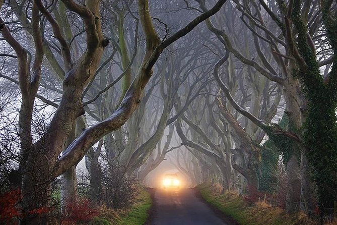 Private Game of Thrones including Giant's Causeway Causeway Coast Rope Bridge - Ballintoy Harbour and the Iron Islands