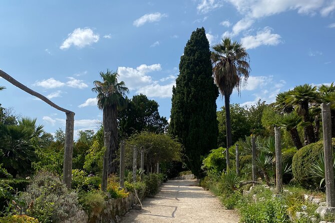 Private Game of Thrones Tour with King's Landing Garden - Trsteno Arboretum, the garden away from the walls