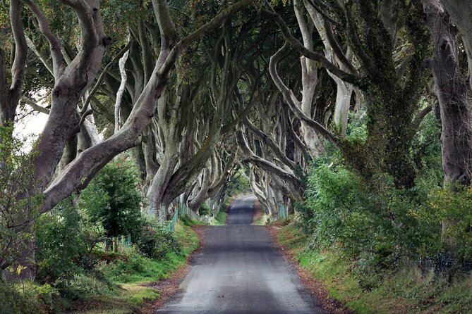 Private Giant's Causeway Tour including Game of Thrones Sites - Bushmills Distillery and the cost of a two-hour visit