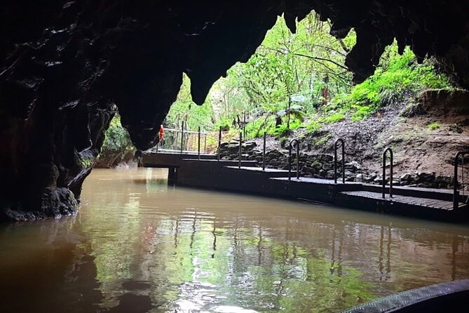 Private Hobbiton & Blue Springs Day Trip from Auckland - The long return through the Waikato
