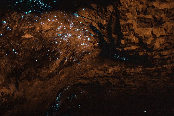 Private Hobbiton & Blue Springs Day Trip from Auckland - Hobbiton Movie Set: three hours in Middle-earth