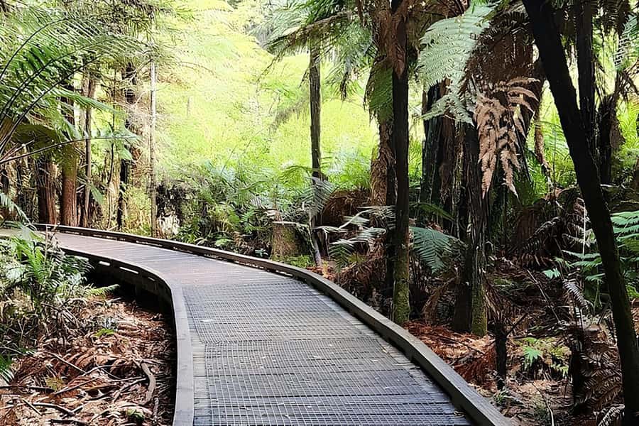 Private Hobbiton & BlueSprings & Redwood forest fromAuckland - Should you book this Hobbiton and Rotorua day?