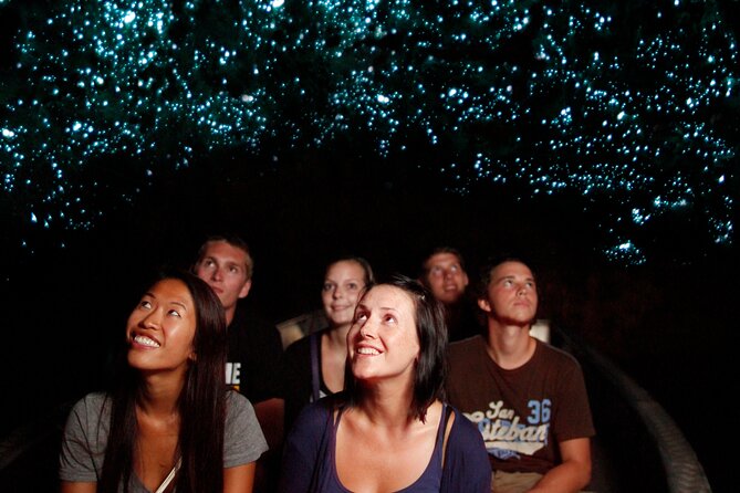 Private Hobbiton Movie Set & Waitomo Caves in a Day from Auckland - Price, group size, and who gets the best value