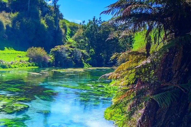 Private Hobbiton, Waitomo Caves, Blue Spring & Hamilton Transfer - Blue Spring and the Te Waihou Walkway