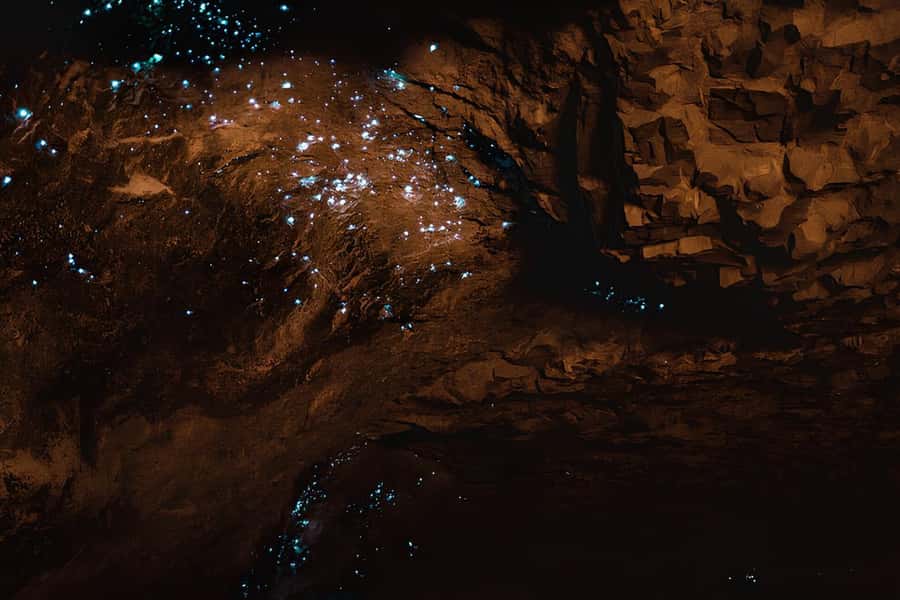 Private Hobbiton & Waitomo glowworm cave Day Trip - What the $585 price includes