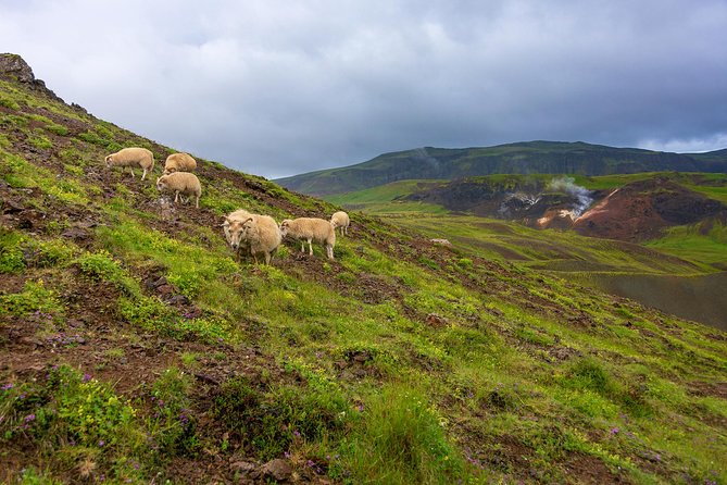 Private Jeep Tour - Game of Thrones experience - Thorufoss is the clearest Game of Thrones connection