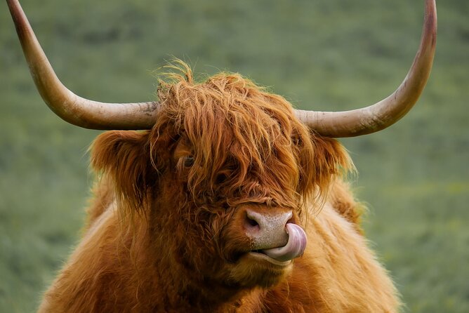 Private Luxury Mini Highlands Tour From Edinburgh - Braveheart - The Wallace Monument and a choice about climbing