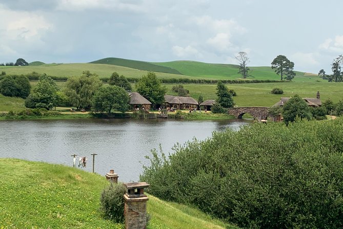 Private Luxury Tour to Hobbiton Movie Set & Waitimo Glowworm Cave - Who will enjoy this Auckland day trip most