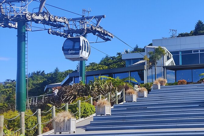 Private Tour: Hobbiton Movie Set, Rotorua Mud Pool & Treewalk - What the private format really adds