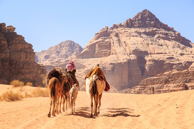 Private Tour of Wadi Rum Star Wars from Aqaba - Ancient inscriptions and Lawrence of Arabia Spring