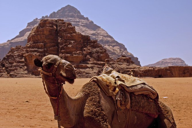 Private Tour of Wadi Rum Star Wars from Aqaba - What the $146.67 price means