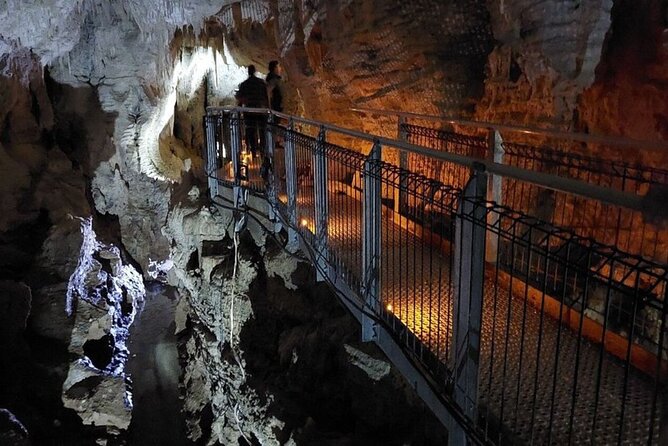 Private Tour: Ruakuri Cave, Waitomo Glowworm & Hobbiton Movie Set - Waitomo Glowworm Caves and the classic boat ride