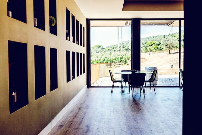 Private tour to marvelous Setúbal, the pearl of Sado - Quinta do Alcube: wine with a sense of place