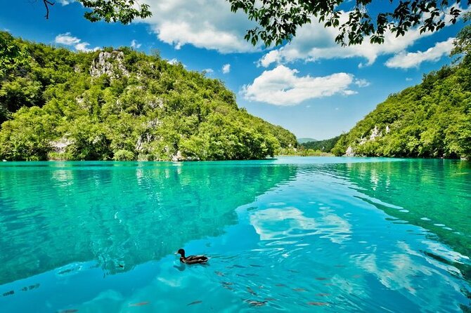 Private Transfers to Krka Waterfalls & Game of Thrones Castle - Who will like this experience most?